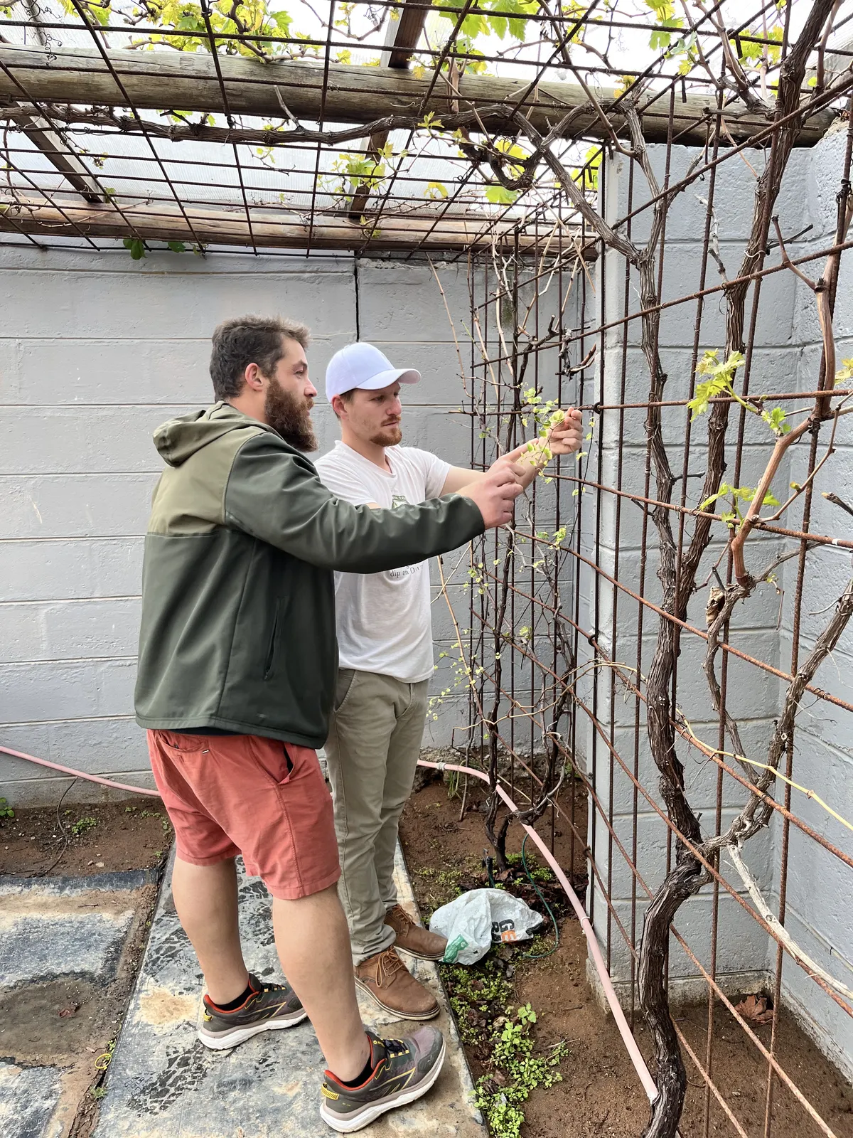 Life at Sober Living Angels — photo 3 of 12